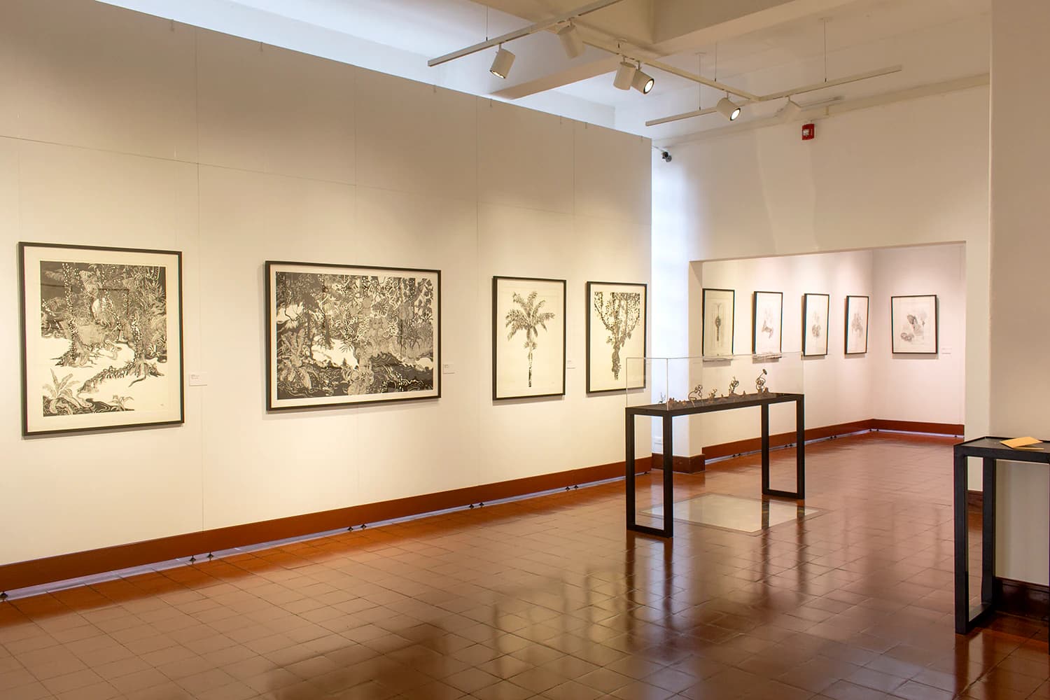 Exhibición de Christian Wedel