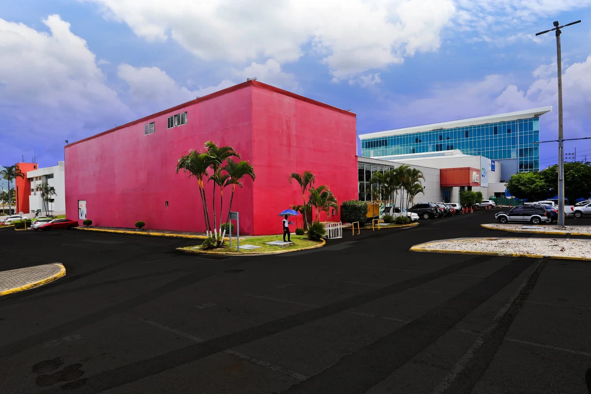 Proceso del mural